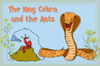 The king Cobra and the Ants