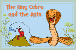 The king Cobra and the Ants