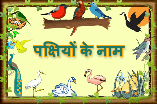 Birds Name and Details in Hindi English | पक्षियों के नाम और विवरण