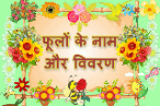 Flowers Name and Detail in Hindi and English