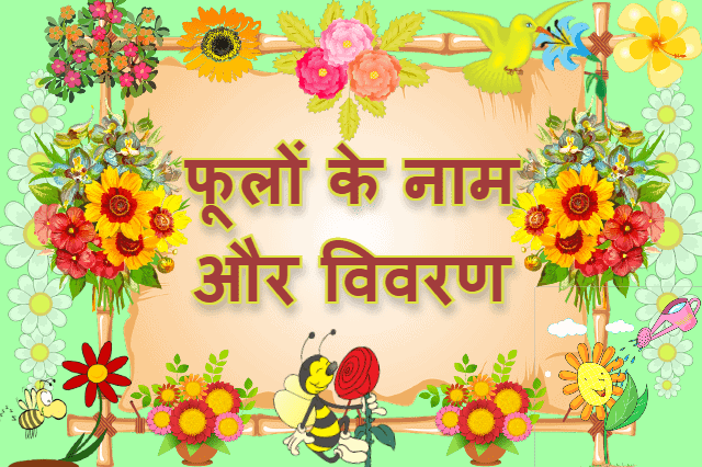 Flowers Name and Detail in Hindi and English